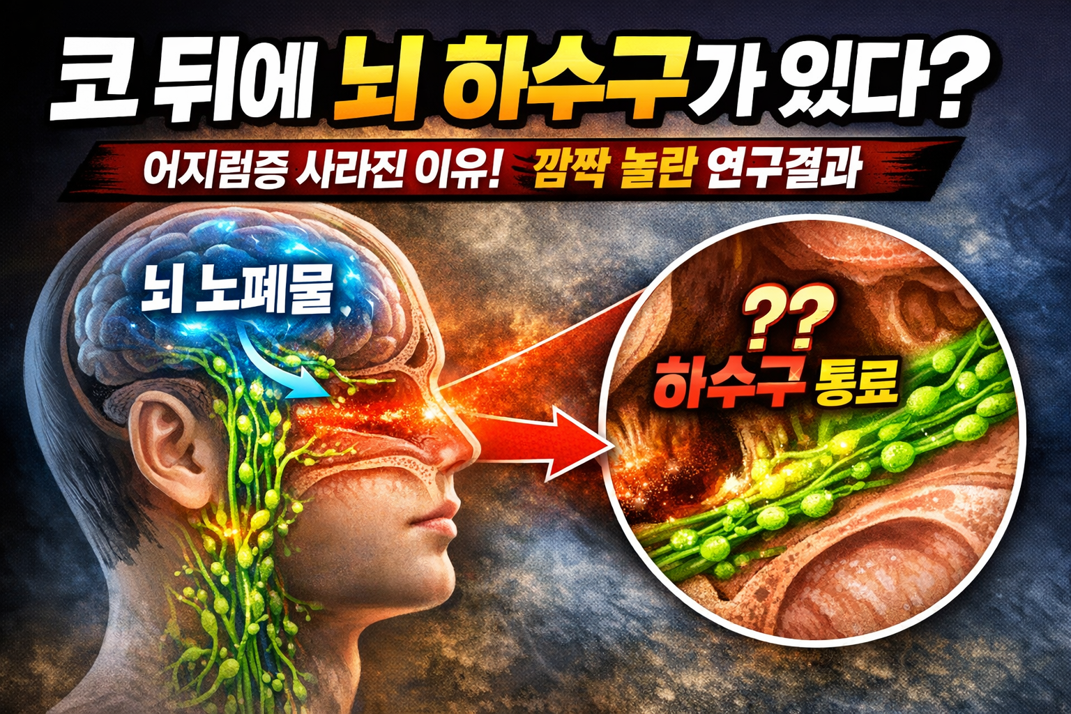 뇌 노폐물이 코 뒤 림프관을 통해 배출되는 글림파틱 시스템 구조