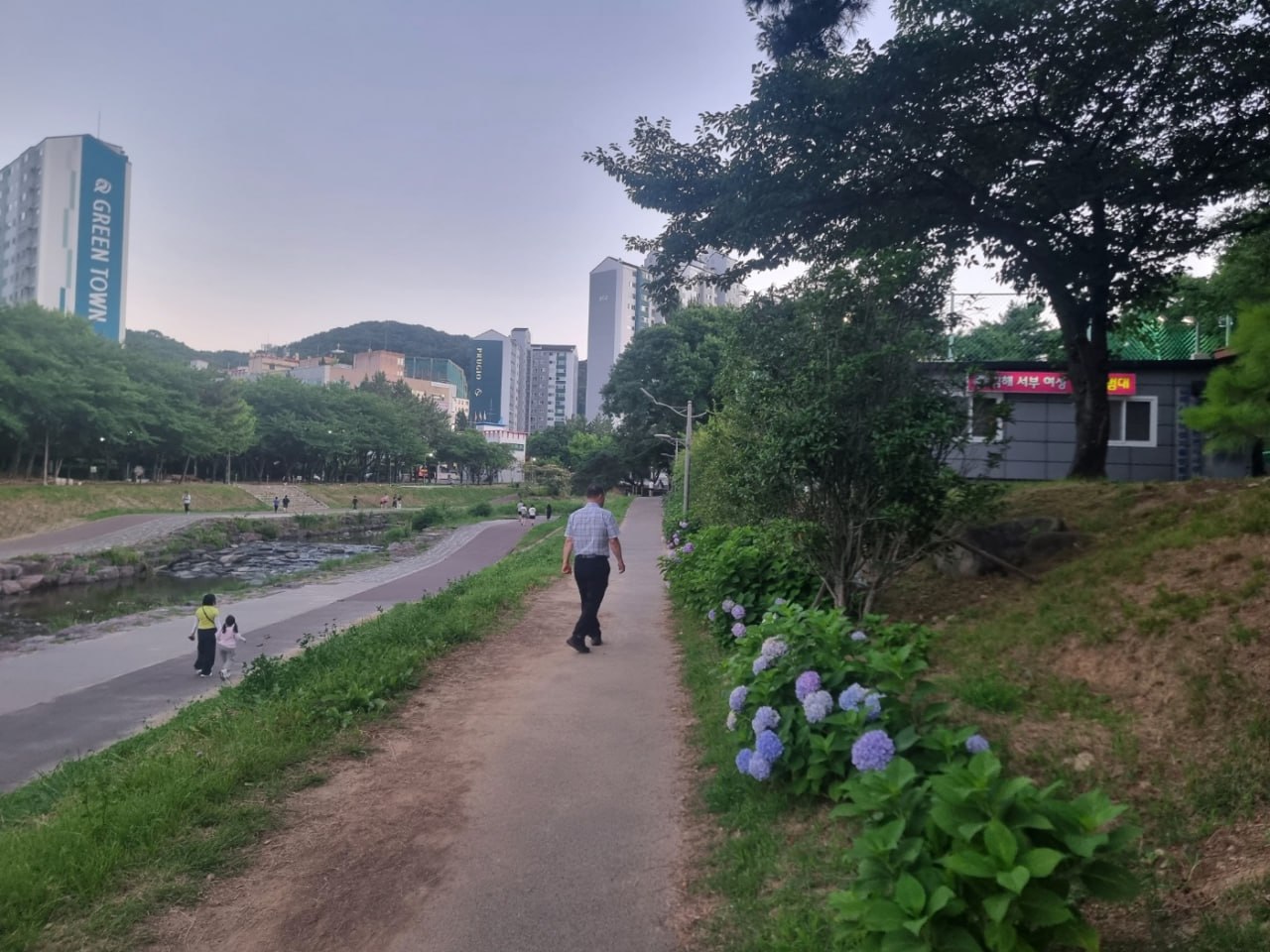 대청계곡 산책길을 따라 사람들이 걷고 있는 저녁 풍경 대표이미지